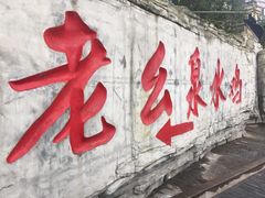 -老幺泉水鸡