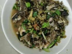 -领鲜土菜馆
