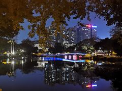 -荔湾湖公园