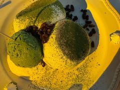 -百好乐宠物友好餐厅(朝外大街店)