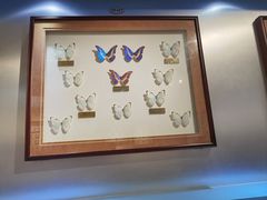 -上海昆虫博物馆