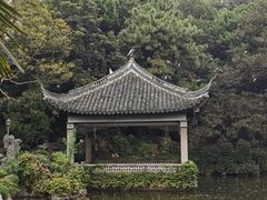 -叶家花园