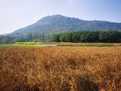 -八卦田遗址公园