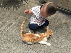 -华林禅寺