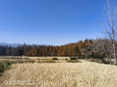 -塔川景区