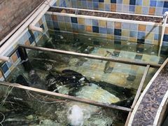 -缘福乡村铁锅炖民宿(八达岭店)