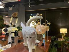 大堂-咖法森林·咖啡  酒吧(天河店)