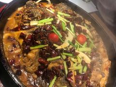 老板恋上鱼-老板恋上鱼(恒隆广场店)