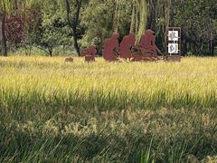 -北坞公园