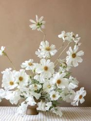 -Oasis Beauty水磨坊科技美肤中心