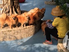 -广州花之恋城堡酒店