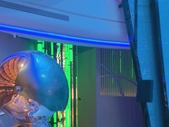 -水之梦(黄浦店)