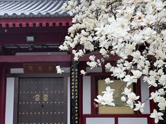 -大慈恩寺(大雁塔)