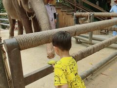 -西双版纳原始森林公园