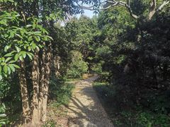 -上海滨江森林公园