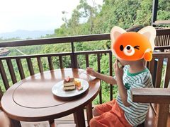 -三亚亚龙湾人间天堂鸟巢度假村
