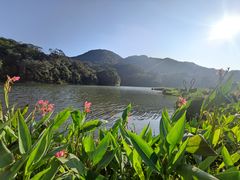 -广州市石门国家森林公园