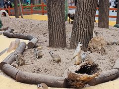 -北京野生动物园