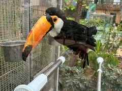 -南宫五洲植物乐园