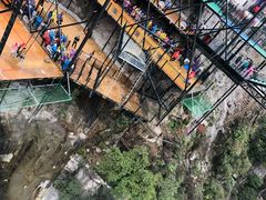 -梦幻奥陶纪景区