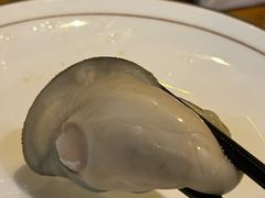 -土蚝·高压锅生蚝(百姓美食街店)