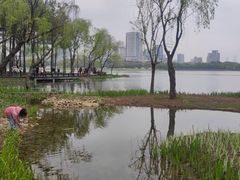 -渤公岛生态公园