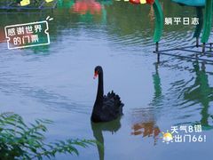 -洛阳市隋唐城遗址植物园
