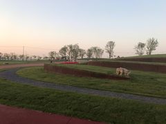 -春花秋色城市公园