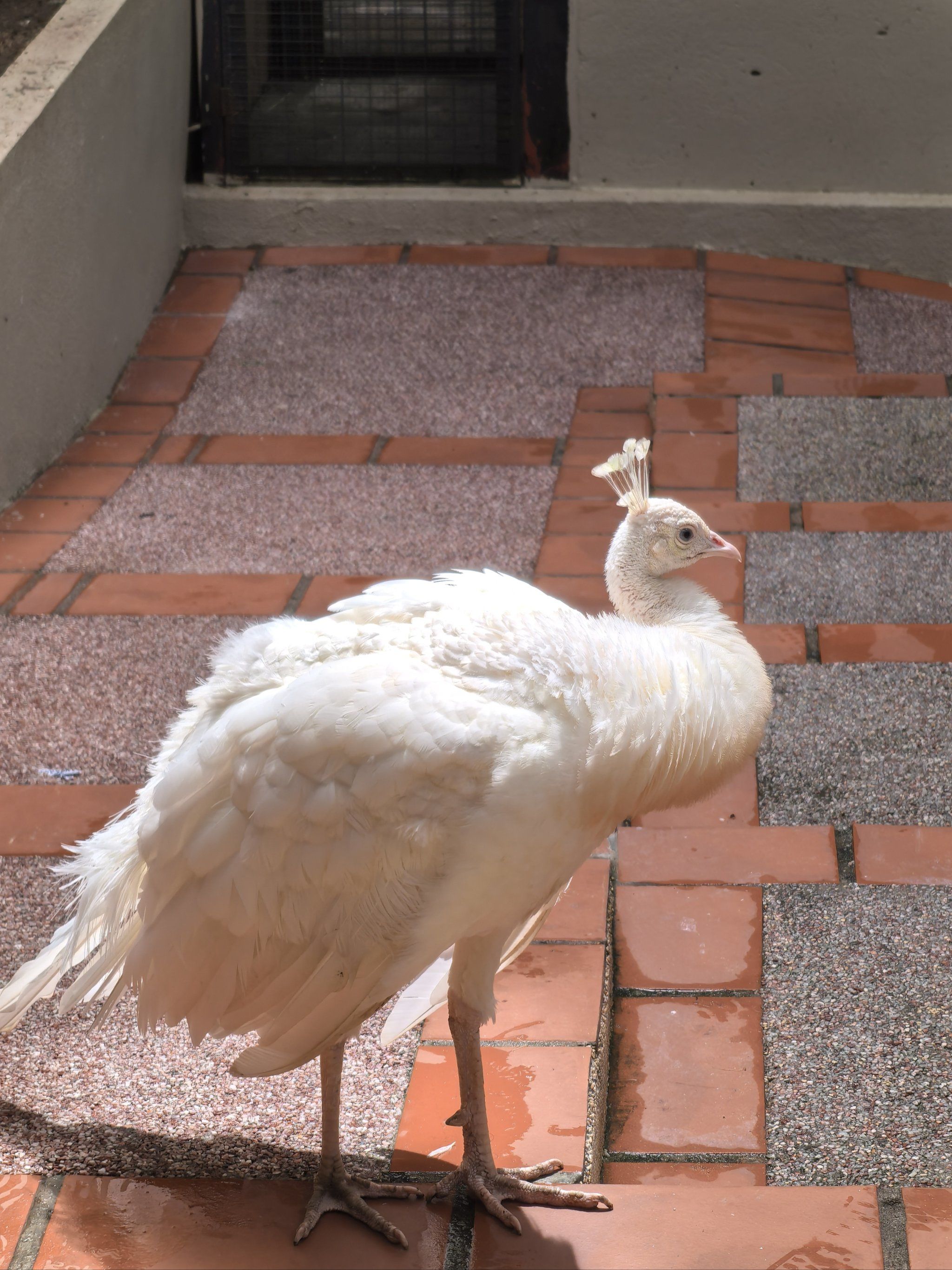 动物园里有什么