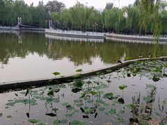 -丰台花园
