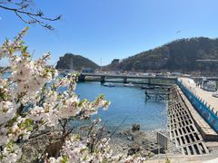 -大连老虎滩海洋公园