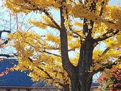 -芭堤雅泰国餐厅(胜利路店)