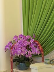 -广生源养发养生馆