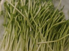 -蒙都43°9羊火锅·赤峰美食(宁城店)