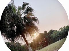 -东莞植物园