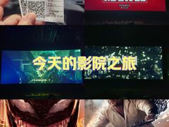 -保定金棕榈先天下国际影城(LUXE)
