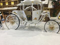 -世界之窗阿尔卑斯冰雪世界