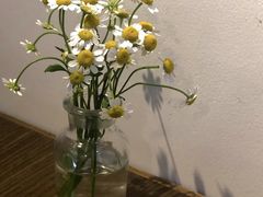 店内布置-野路甜点铺(松柏路店)