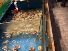 -亚马逊海鲜自助(王府井店)