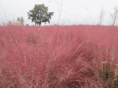 -汉长安城未央宫国家考古遗址公园