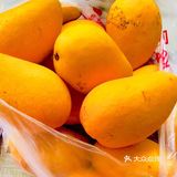 随心所欲DIY 肉松水果蛋糕盒子🍰