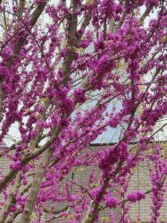 -姜美堂·蒸姜除湿の纤体美颜馆