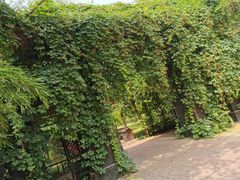 -杨柳青庄园