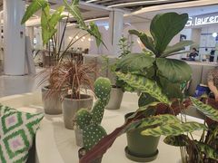 -茶芭蕾·新疆酸奶(美美1店)