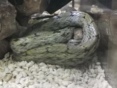 -三旗百汇商品城