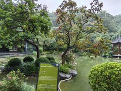 -云溪植物园