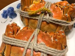 -喜洋洋蟹庄(阳澄湖店)