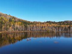 -五营红松林海景区