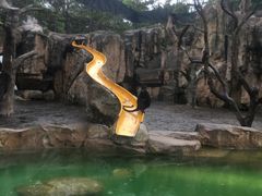 -深圳野生动物园