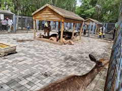 -长白岛森林公园